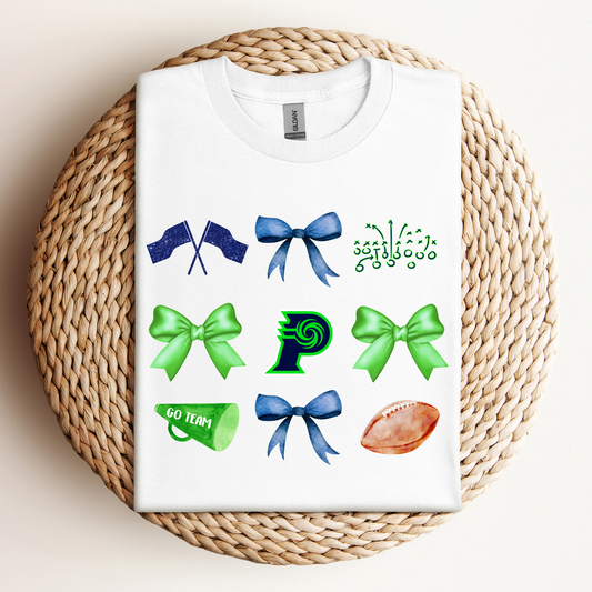 PRAIRIEVILLE SCHOOL SPIRIT-TEE & SWEATSHIRT