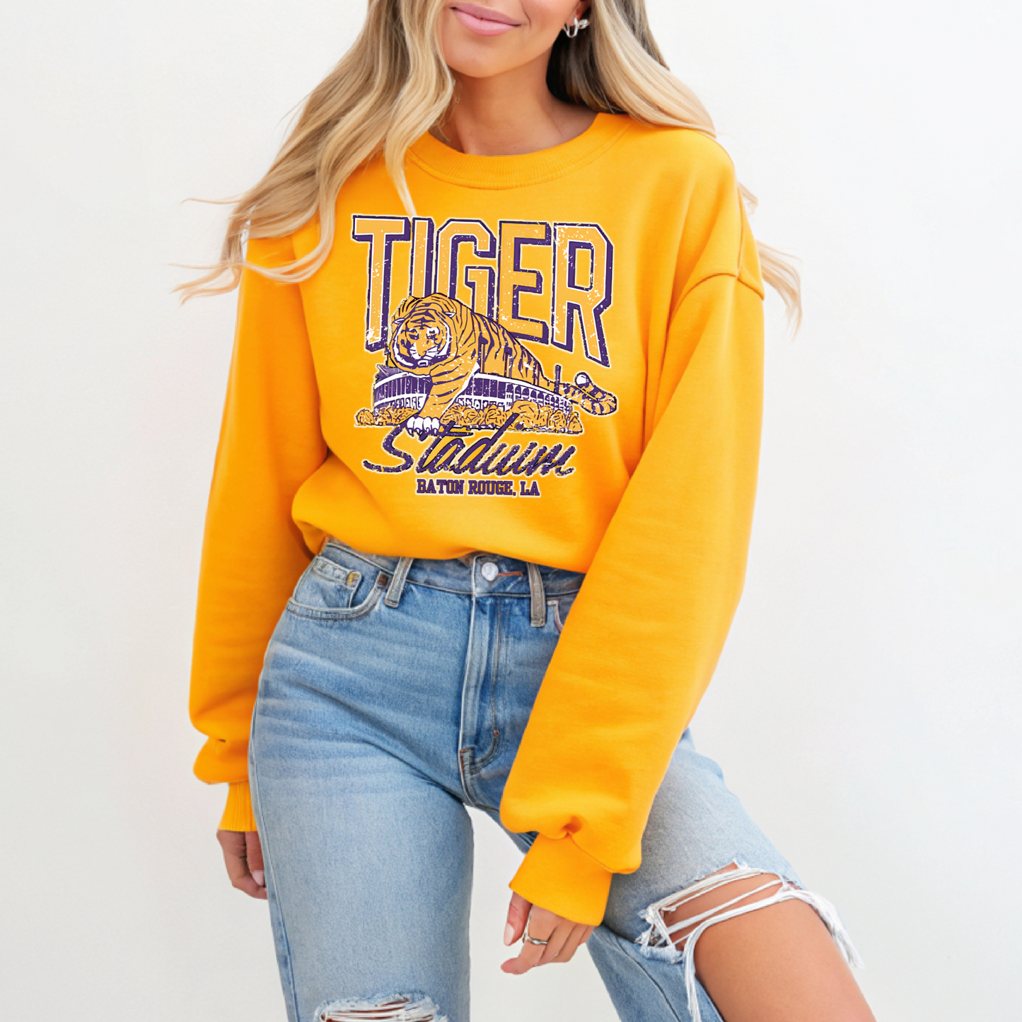TIGER STADIUM TEES AND SWEATSHIRTS
